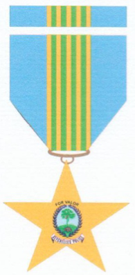 Valor Image