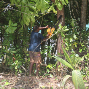 597862330_122146481654926480_1147384703915473314_n