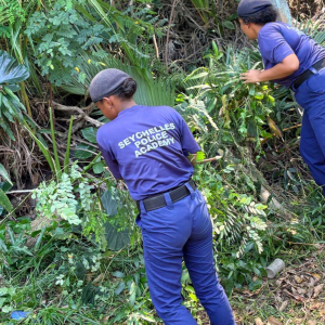 631709466_18059900933671432_7074861566273664600_n